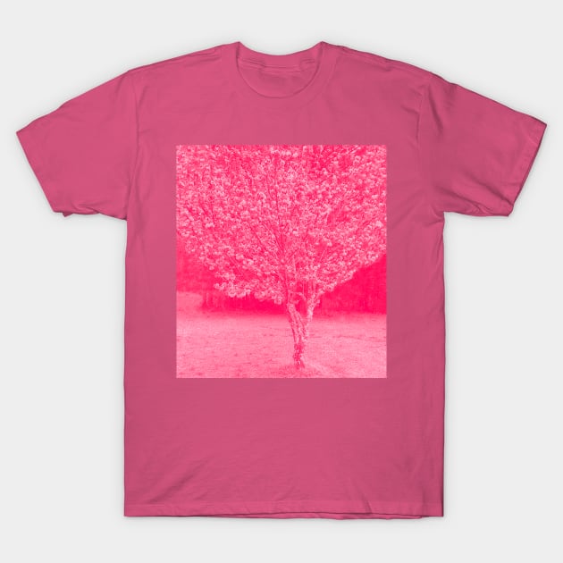 Cherry Blossoms Japanese Cherry Tree T-Shirt by DonWillisJrArt